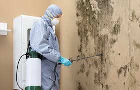 Best Forensic Mold Investigation in USA